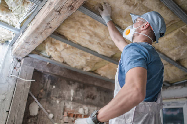 Insulation Replacement Services in Tatamy, PA