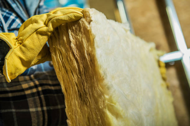 Best Cellulose Insulation  in Tatamy, PA