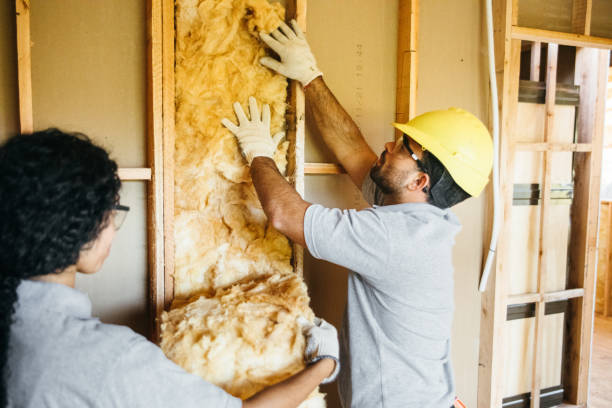 Insulation Repair Services in Tatamy, PA